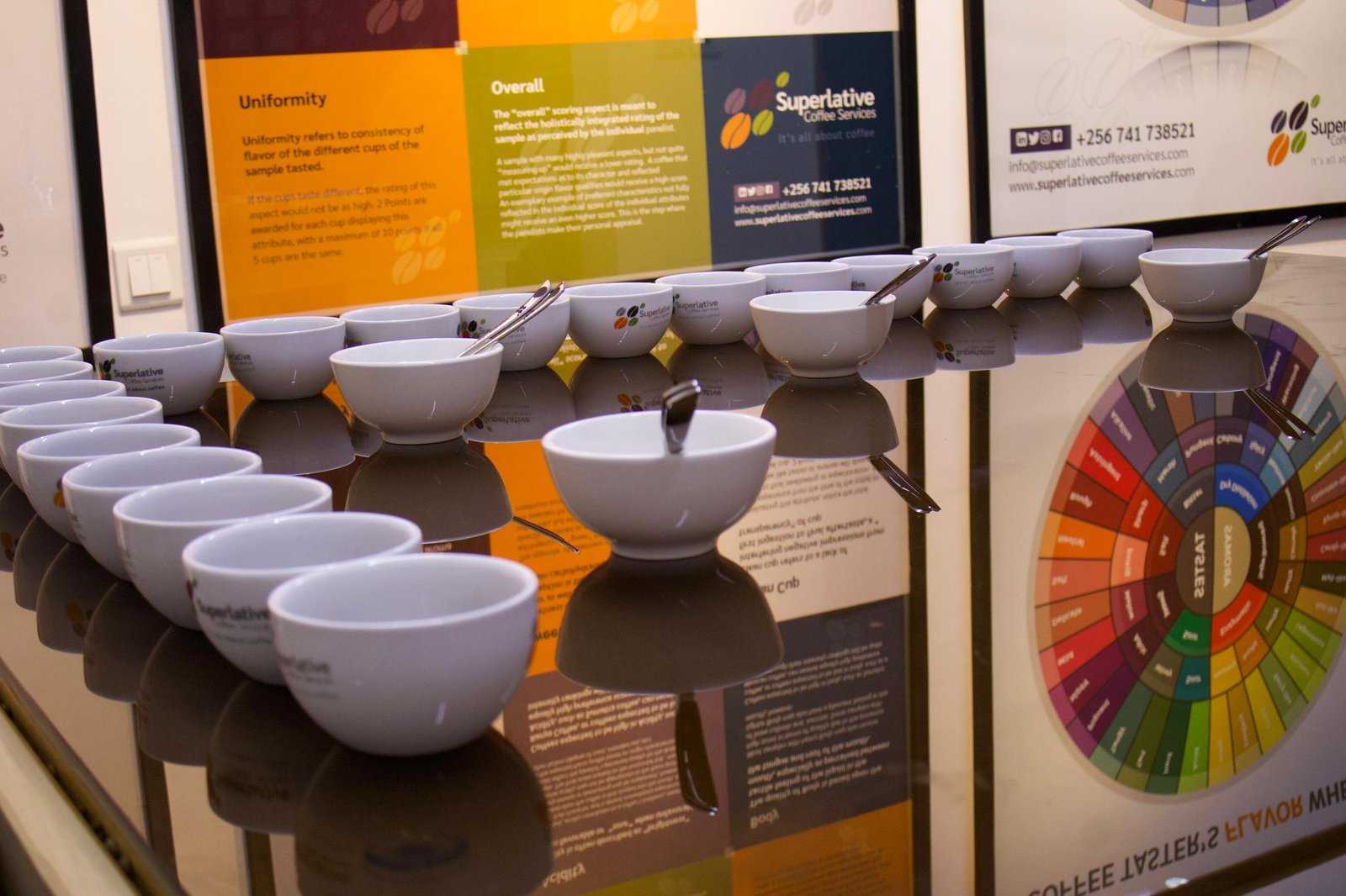 CONTAMINATION FREE ENVIRONMENT.