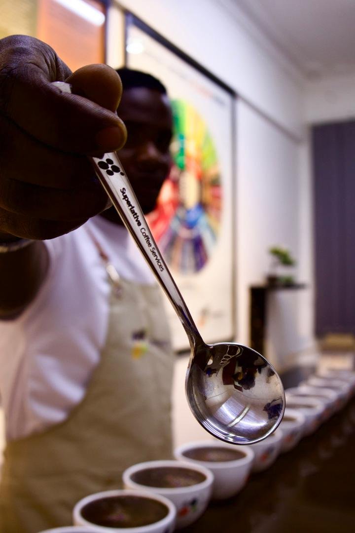 PROFESSIONAL CUPPING SPOONS