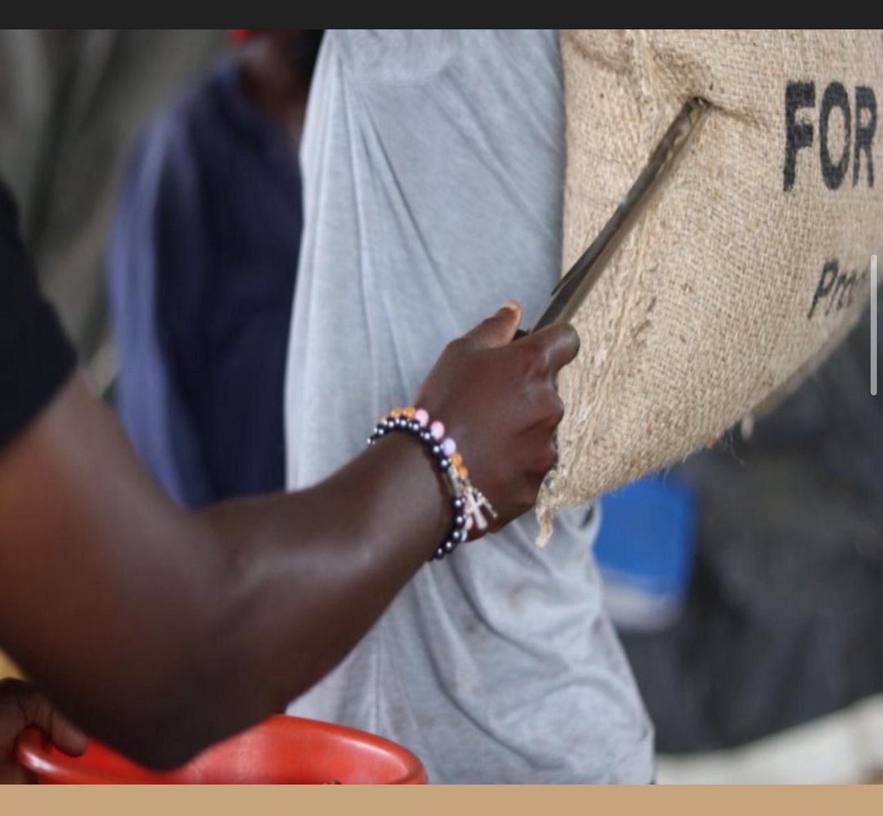 GREEN COFFEE LOADING INSPECTION.