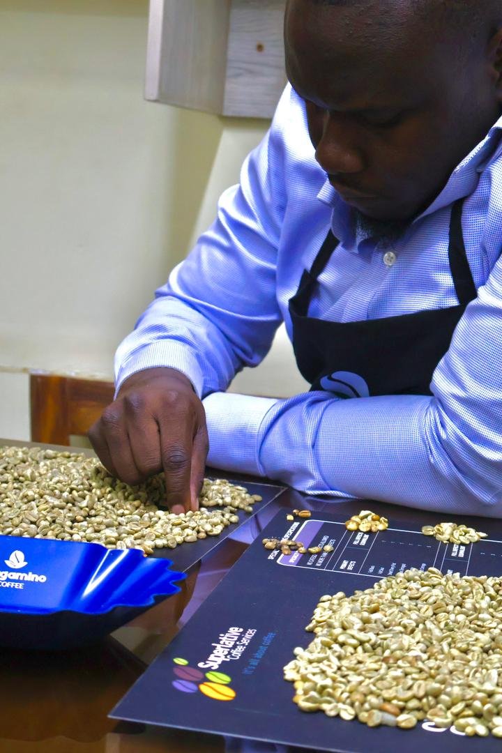 QUALITY COFFEE PRODUCTION