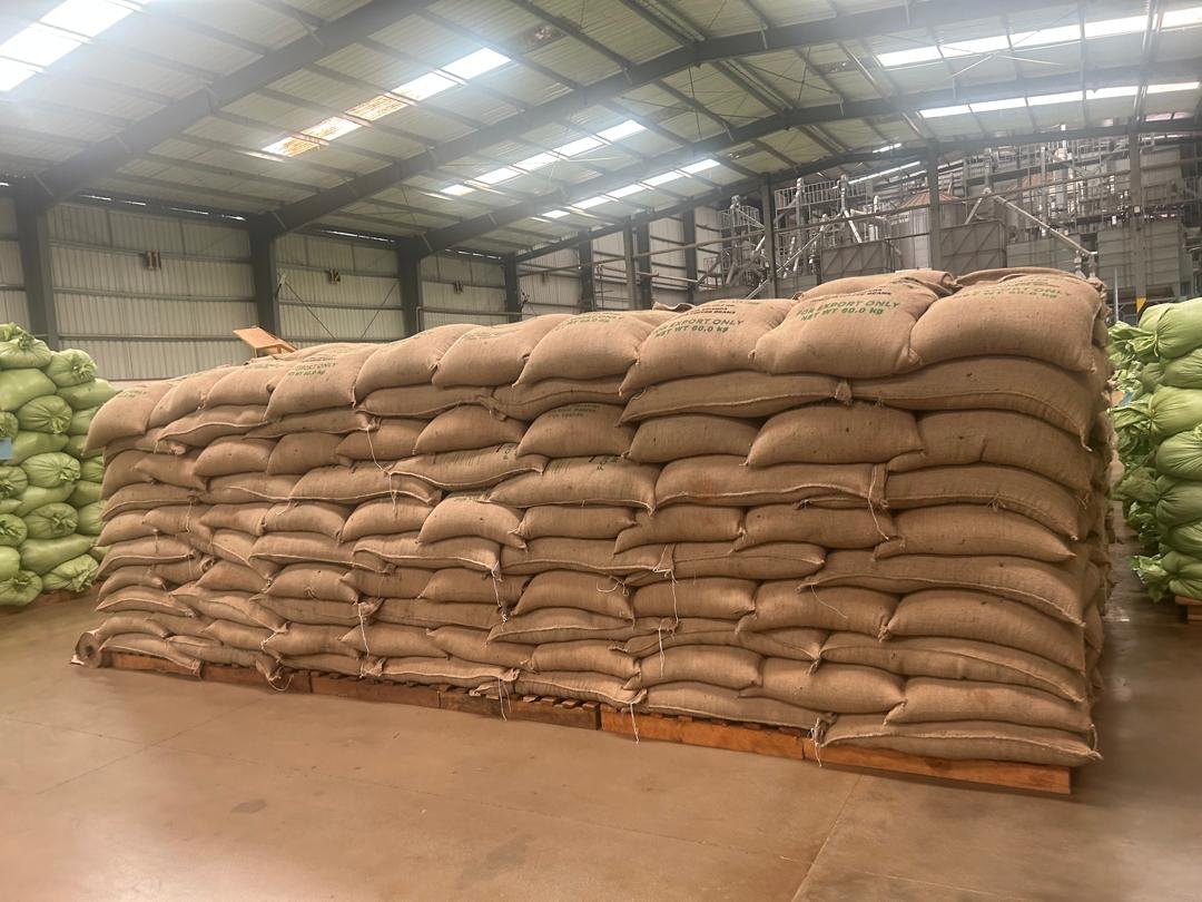 GREEN COFFEE PRE-LOADING INSPECTION.